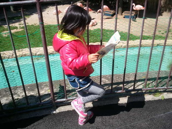 本日は南東へ♪
