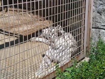 本日は南東へ♪