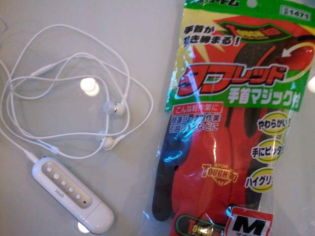 トリプルインフル(*_*)