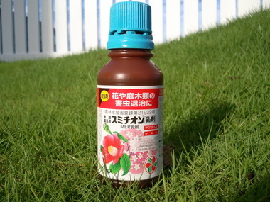 庭の木に~(T_T)