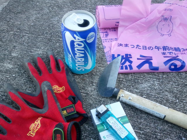 夏満喫中(*^^)v