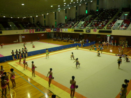 第２９回藤島杯新体操競技大会