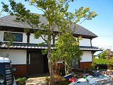 古民家カフェ 欒(まどい)OPEN