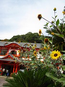 泰造展