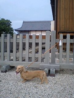 本丸散歩で