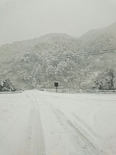寒すぎて変。 寒すぎて変。