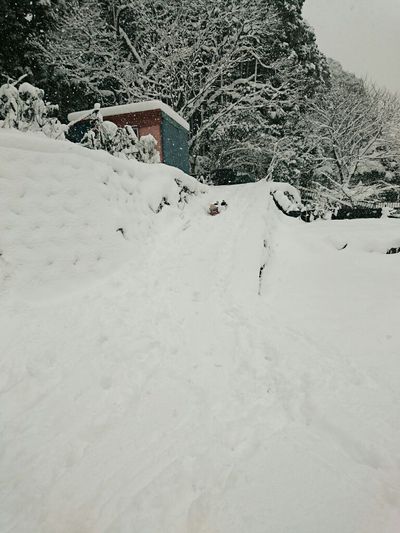 寒すぎて変。 寒すぎて変。