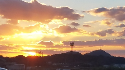 黒さそり 黒さそり