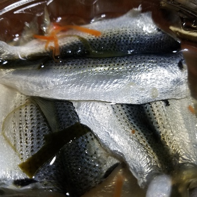 佐賀県産酒で1番好きなお酒 佐賀県産酒で1番好きなお酒