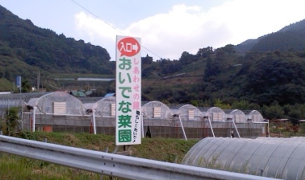 自分の農園が持てるかも 自分の農園が持てるかも