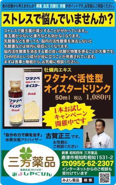 ストレスで悩んでいませんか? 善玉菌 乳酸菌 脳内活性酸素 ワタナベベオイスタードリンク ストレスで悩んでいませんか? 善玉菌 乳酸菌 脳内活性酸素 ワタナベオイスタードリンク
