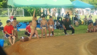 市民体育大会 相撲競技