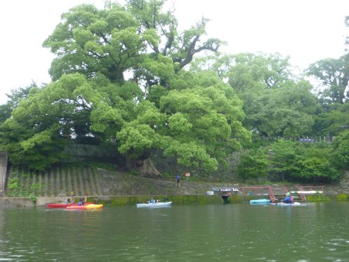 カヌーの練習2013
