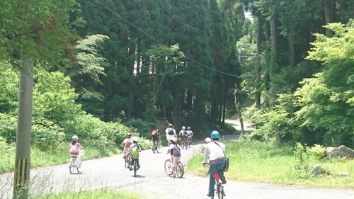 事故報告:冒険サイクリング 事故報告:冒険サイクリング