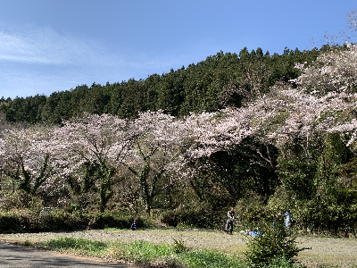 腰岳に登ろう!黒曜石拾い・石器づくり 腰岳に登ろう!黒曜石拾い・石器づくり