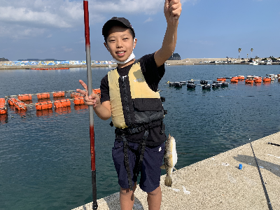 10月の野遊び:サビキ釣りをしよう 10月の野遊び:サビキ釣りをしよう