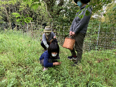 腰岳に登ろう!黒曜石拾い・石器づくり 腰岳に登ろう!黒曜石拾い・石器づくり