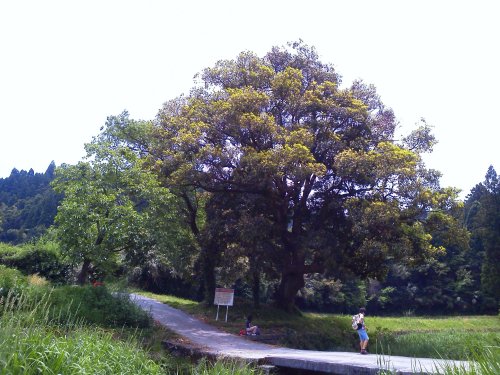 冒険サイクリング2013