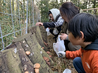 1月の野遊び:竹で遊ぼう