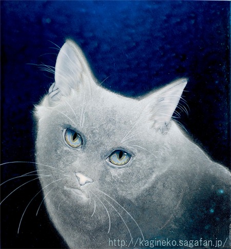 かぎ猫陶彩画「氷猫」