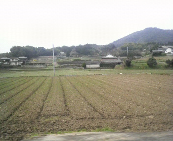 目が覚めた