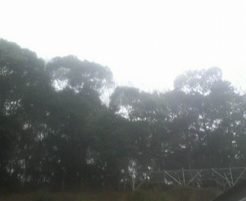 あいにくの雨