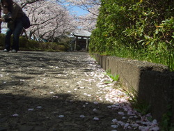 今日もまた・・・