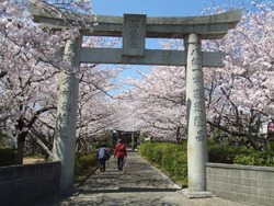 今日もまた・・・