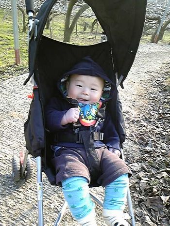 梨園 散歩中!