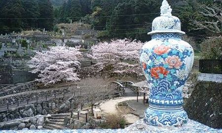 今朝の大川内山 桜満開