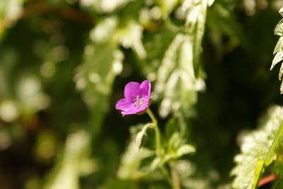 明日から10月