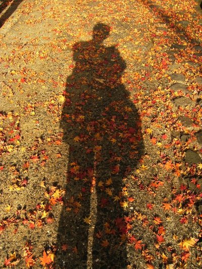 伊万里で紅葉