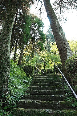 伊万里・権現岳神社