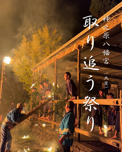 2024 取り追う祭り 2024 取り追う祭り