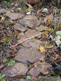 庭に造った石の小道
