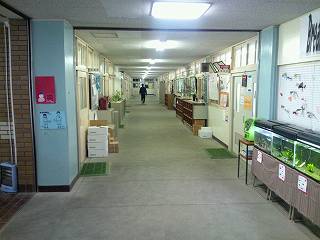 震災から17年目を迎えた神戸鷹取中学校