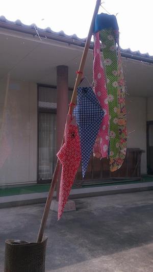 こいのぼり こいのぼり