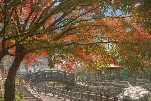 大川内山の紅葉②