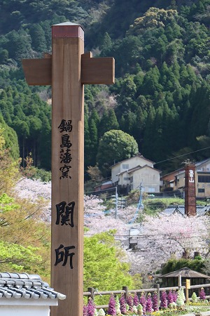 サクラ満開@大川内山 サクラ満開@大川内山