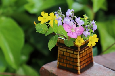 #4cmの花遊び #4cmの花遊び
