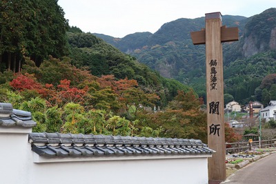 立冬 立冬