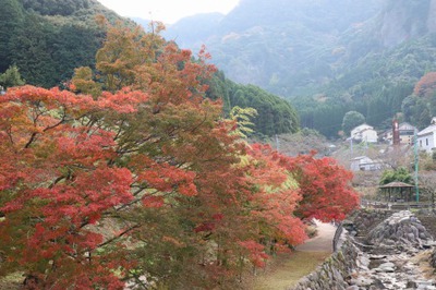 紅葉の様子