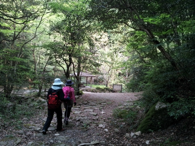 【報告】春の森林浴ハイク～石谷山＋九千部山～