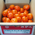 【早津みかん園】おひさまおれんじ、紅みかん、完熟みかん予約スタート! 【早津みかん園】おひさまおれんじ、紅みかん、完熟みかん予約スタート!
