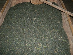 ウーロン茶?!