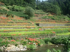 矢部村に行ってきました!①