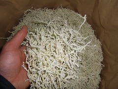 切干大根完成!!