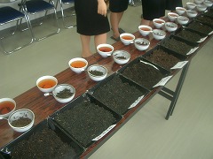 2番茶終了☆