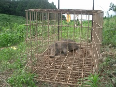 蒸し暑い!