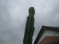 もう…